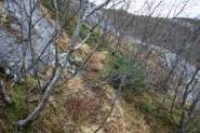 An Image Slideshow
