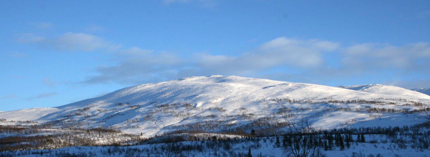 Klikk her så får du se flere bilder i Galleriet