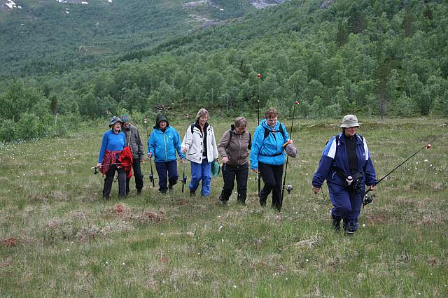 Sju spreke jenter på vei til Almenningen