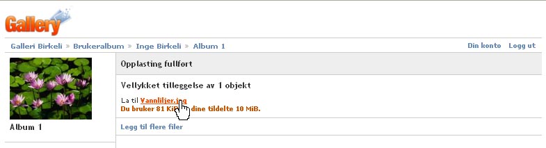 Opplasting Fullført