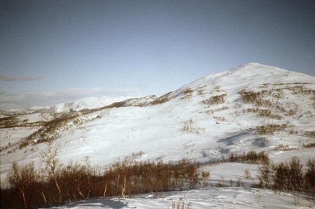 PF1986-Vinter-11.jpg