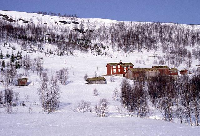 Larsgården fra Trappbergan i normal vinkel