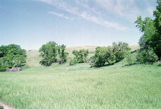 OFS1997-NF-Forsommer-USA-08_25cm100dpi.jpg