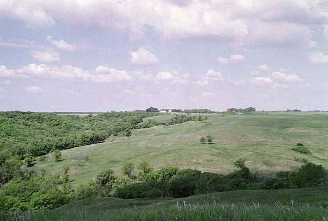 OFS1997-NF-Forsommer-USA-15_25cm100dpi.jpg