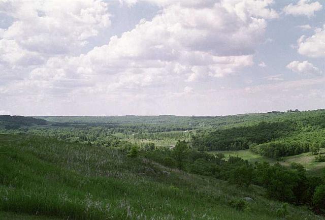 OFS1997-NF-Forsommer-USA-16_25cm100dpi.jpg