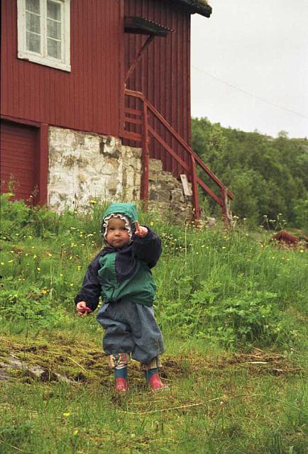 NF1991-Sommer-09_25cm100dpi.jpg
