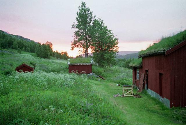 Sommer-11_25cm100dpi.jpg