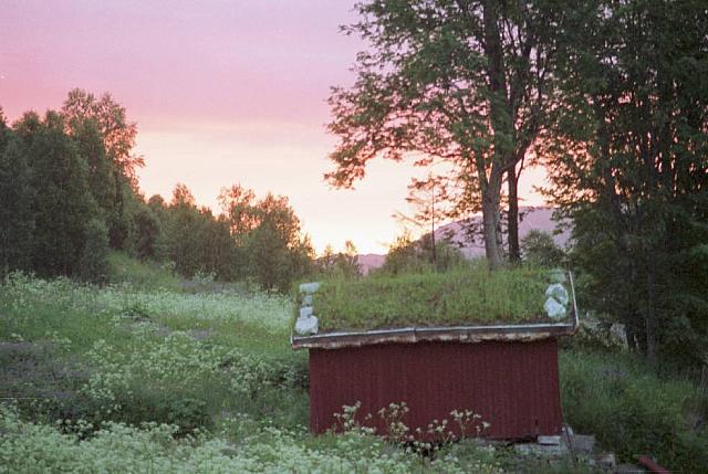 Sommer-12_25cm100dpi.jpg