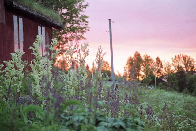 Sommer-13_25cm100dpi.jpg