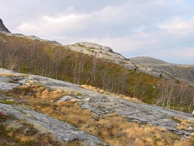 Øvre Vedlægda