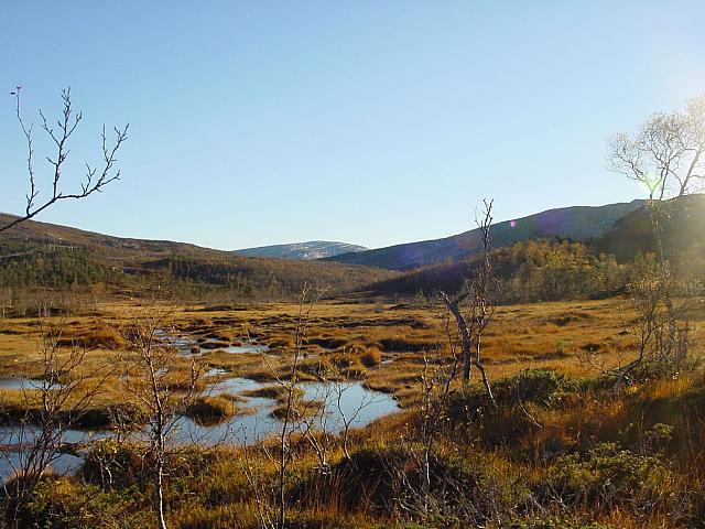 Ågdalen fra Myran