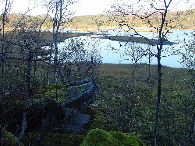 Korsura med grensemerking