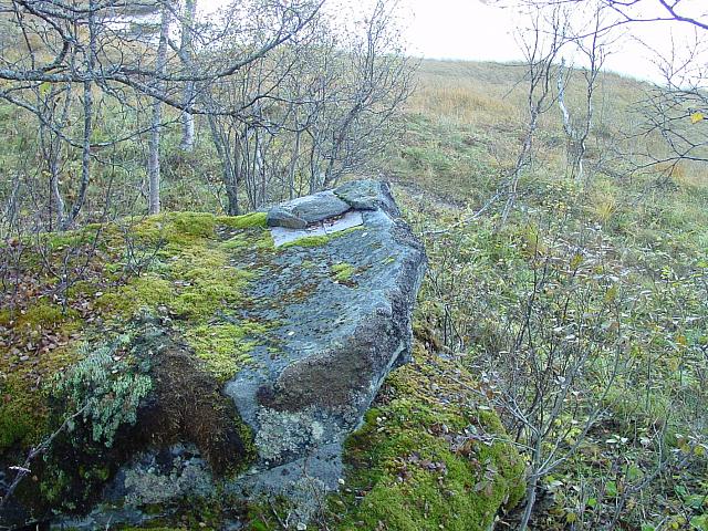 Grensemerket Birkeli/Sandmo ved Tjønnan