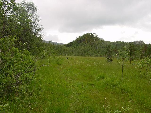 Langmyra og Tjønnåsen