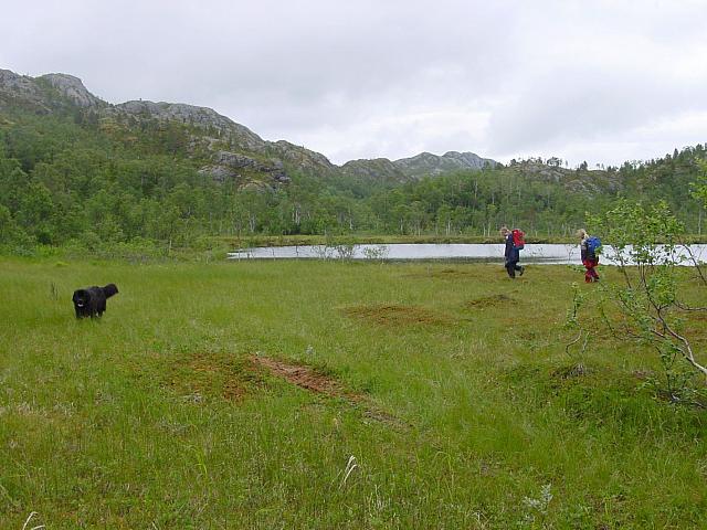 Ved rundtjønna