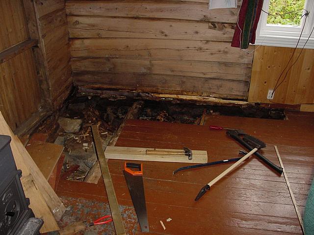 DSC02982_25cm_144dpi.jpg