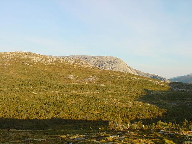 DSC02998_25cm_144dpi.jpg
