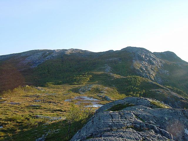 DSC03000_25cm_144dpi.jpg