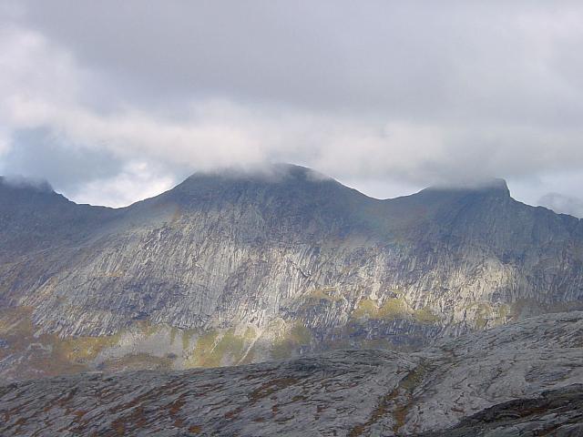 DSC03020_25cm_144dpi.jpg