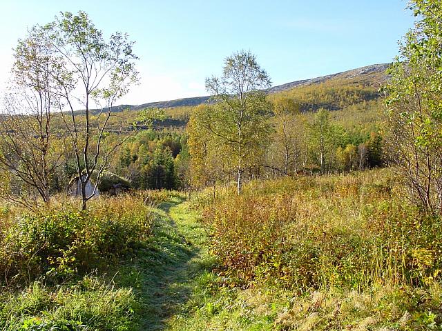 DSC03037_25cm_144dpi.jpg