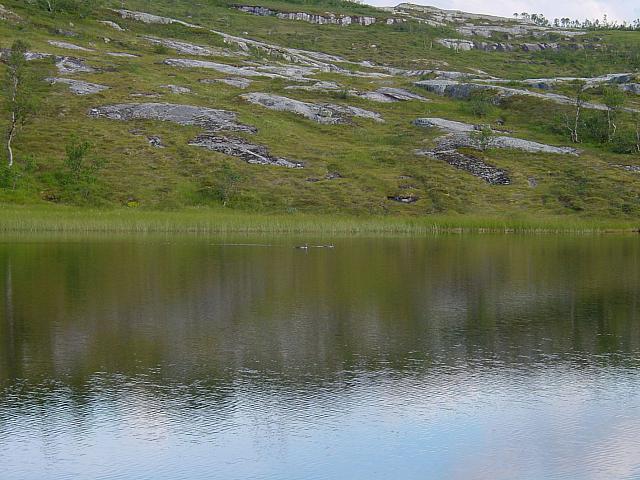 DSC02907_25cm_144dpi.jpg