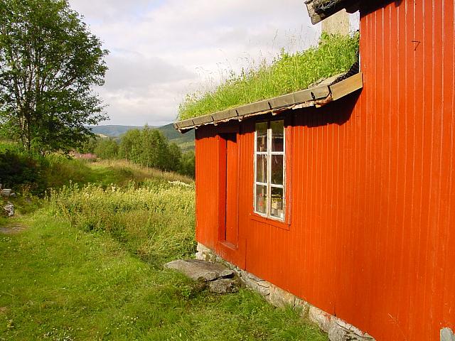 DSC02925_25cm_144dpi.jpg