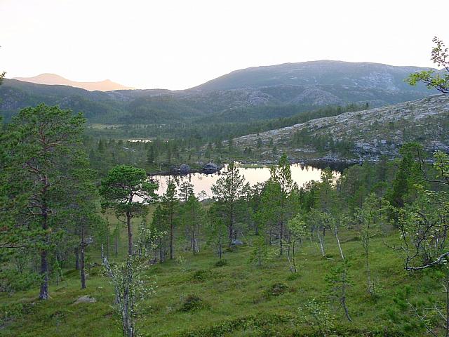 DSC02930_25cm_144dpi.jpg