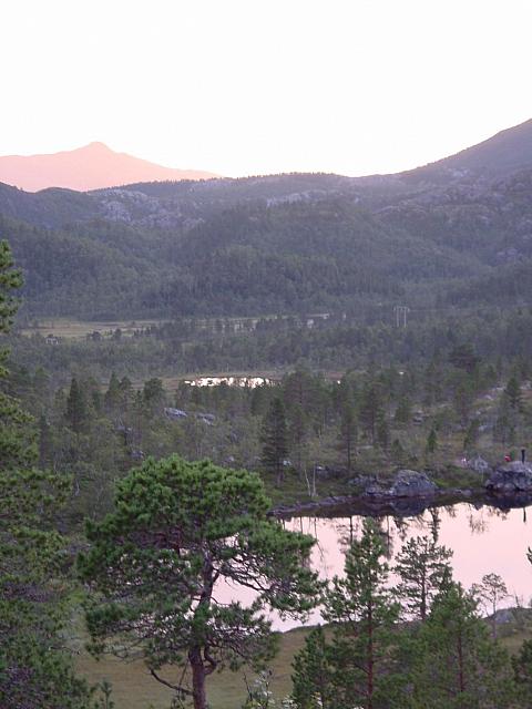 DSC02931_25cm_144dpi.jpg