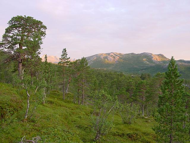 DSC02932_25cm_144dpi.jpg