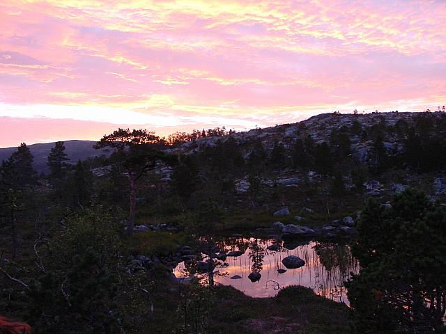 DSC02939_25cm_144dpi.jpg