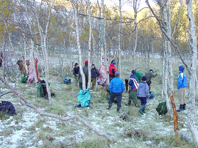 Folksomt ved slakteplassen i Sørdalen