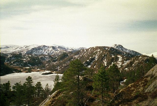N-I-2003 10 25cm