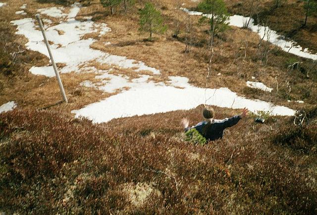 N-I-2003 11 25cm