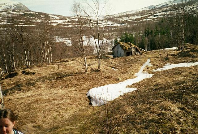 N-I-2003 16 25cm
