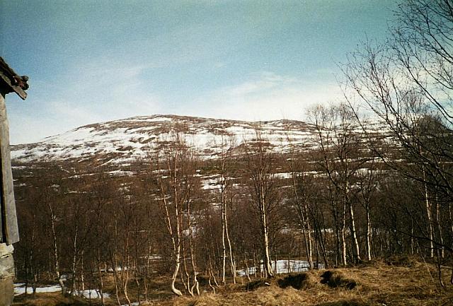 N-I-2003 19 25cm
