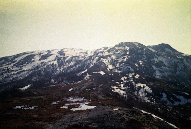 N-I-2003 26 25cm