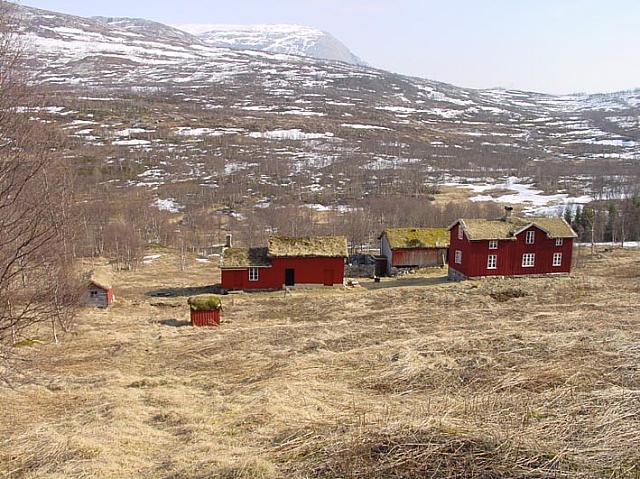 Birkeli fra Ryllia 