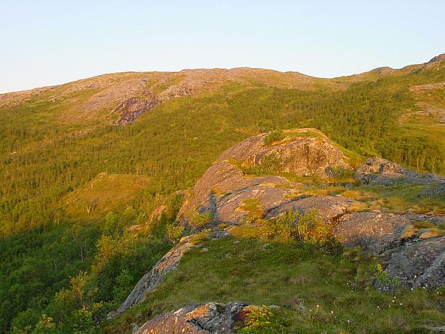DSC04022_25cm_144dpi.jpg