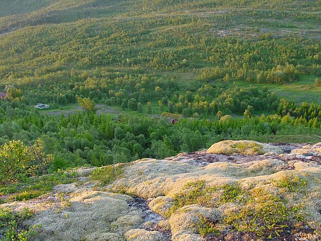 DSC04025_25cm_144dpi.jpg