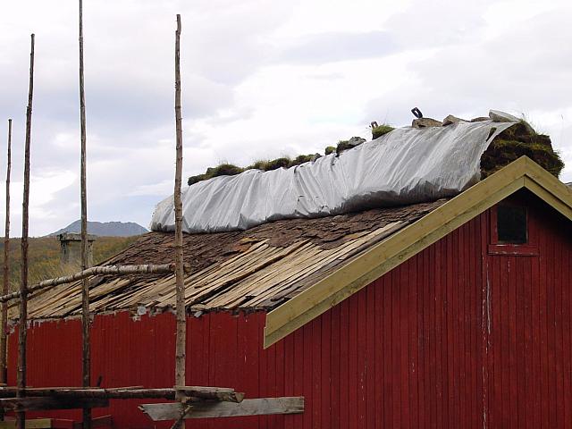 DSC04970_25cm_144dpi.jpg