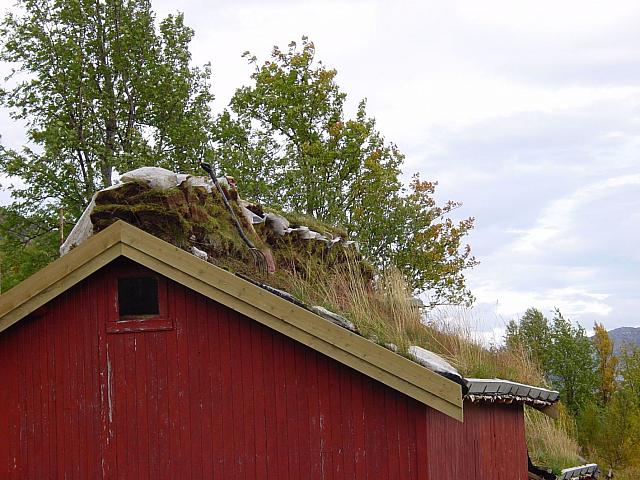 DSC04972_25cm_144dpi.jpg