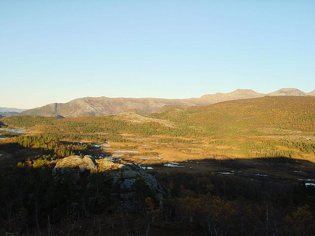 DSC04980_25cm_144dpi.jpg