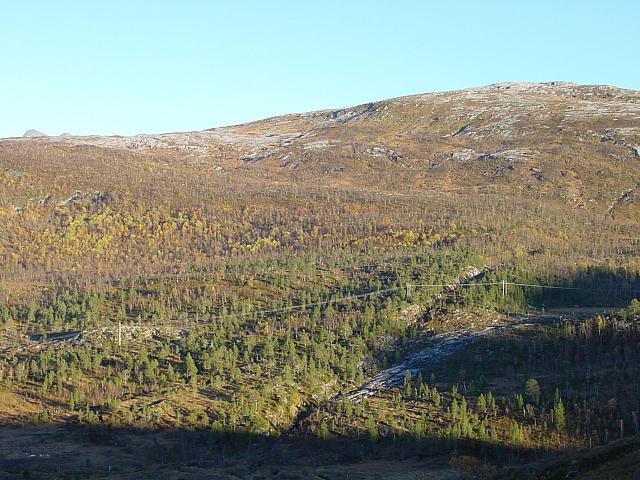 DSC04981_25cm_144dpi.jpg