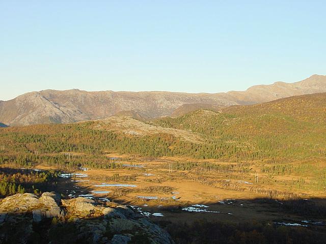 DSC04983_25cm_144dpi.jpg