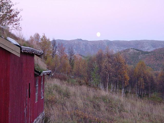 DSC04984_25cm_144dpi.jpg