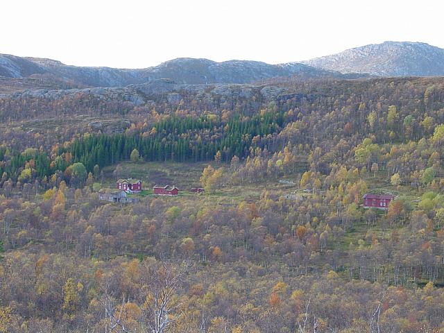 DSC04991_25cm_144dpi.jpg