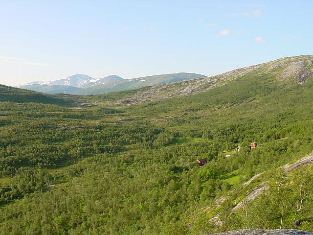 DSC04872_25cm_144dpi.jpg