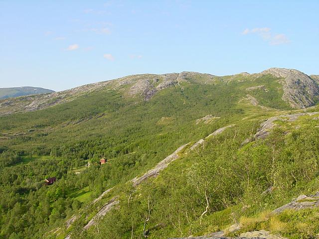 DSC04873_25cm_144dpi.jpg