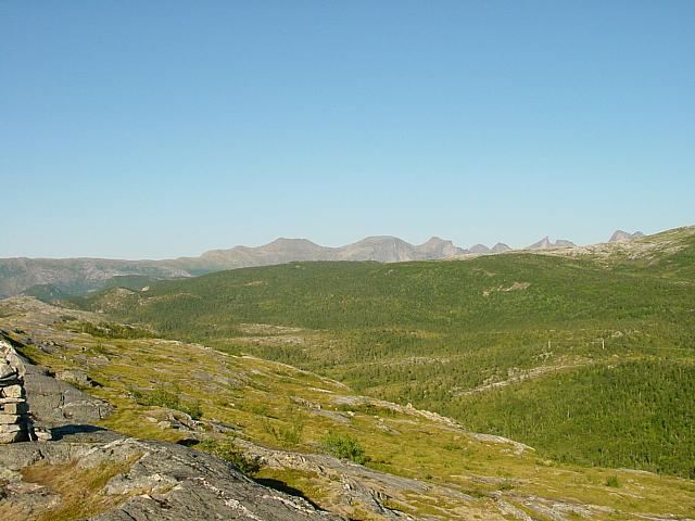 DSC04881_25cm_144dpi.jpg