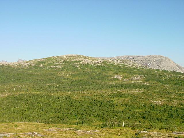 DSC04882_25cm_144dpi.jpg